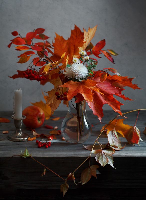 осень, лист, клен, красный, натюрморт Симфония для \