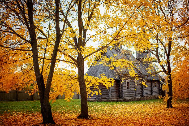 Autumn in Great Boldinophoto preview