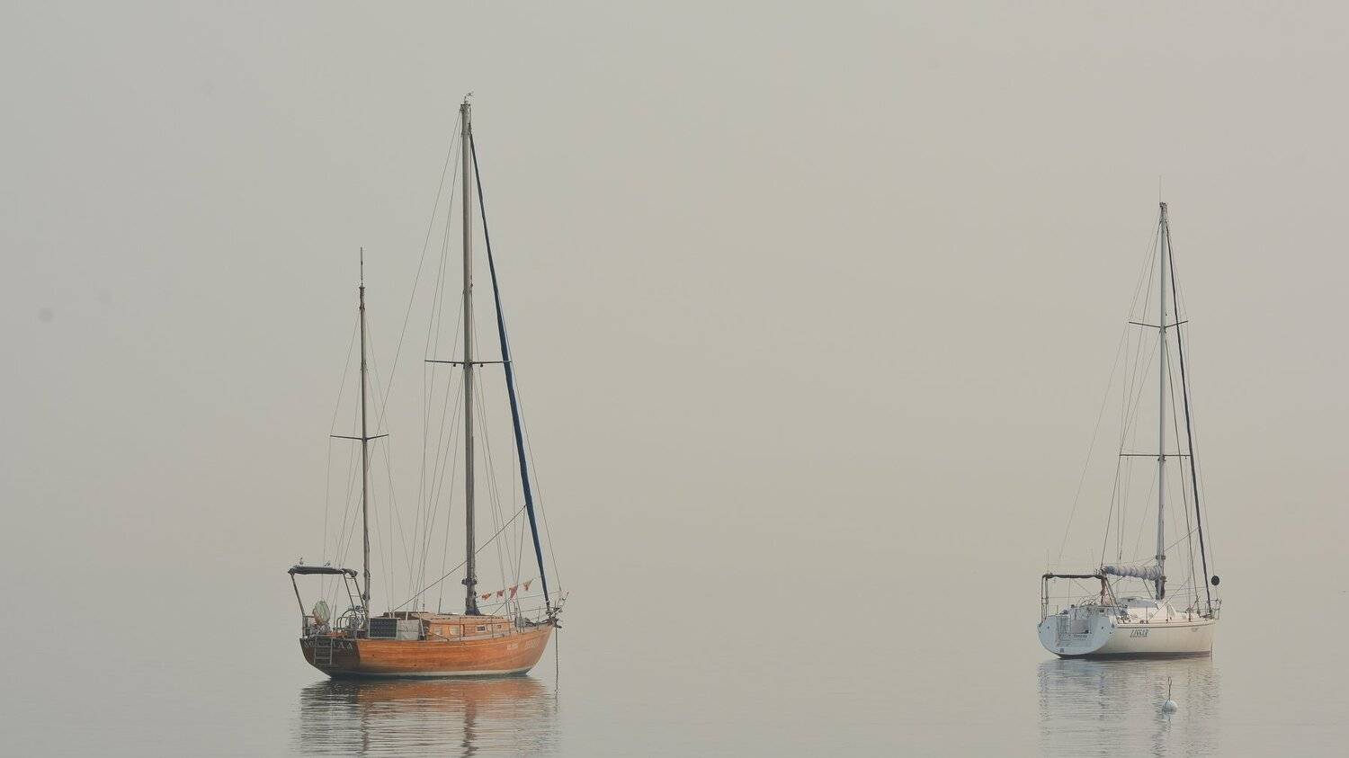 , Юрий Пужалин