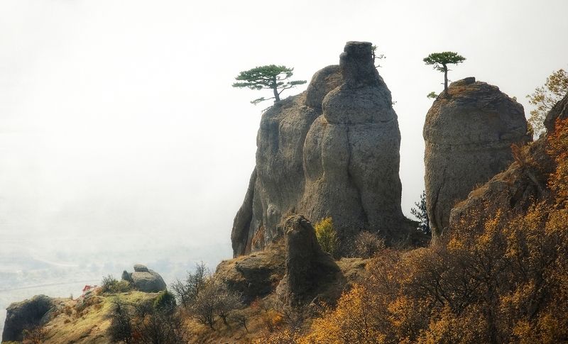крым, демерджи, октябрь, туман Демерджи, октябрьphoto preview