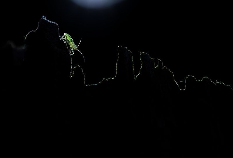 Здесь вам не равнины, здесь климат инойphoto preview