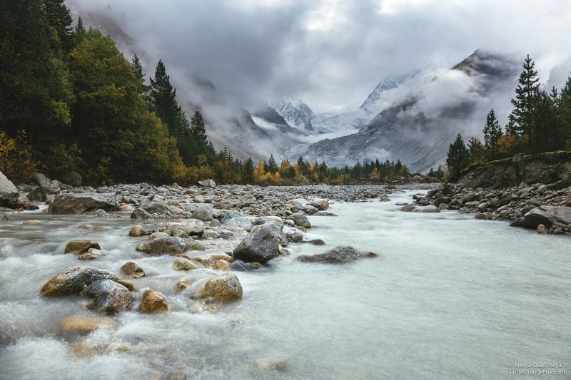 Кавказ, горы, туман, осень, река, Алания, Караугом Туманное утроphoto preview