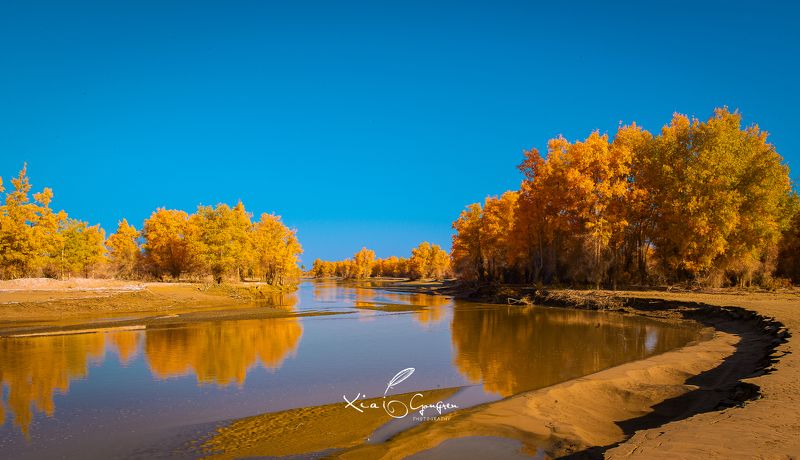 柬埔寨风光 freephoto preview