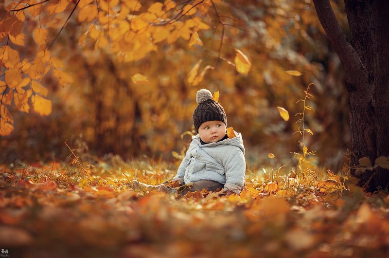 Степашаphoto preview