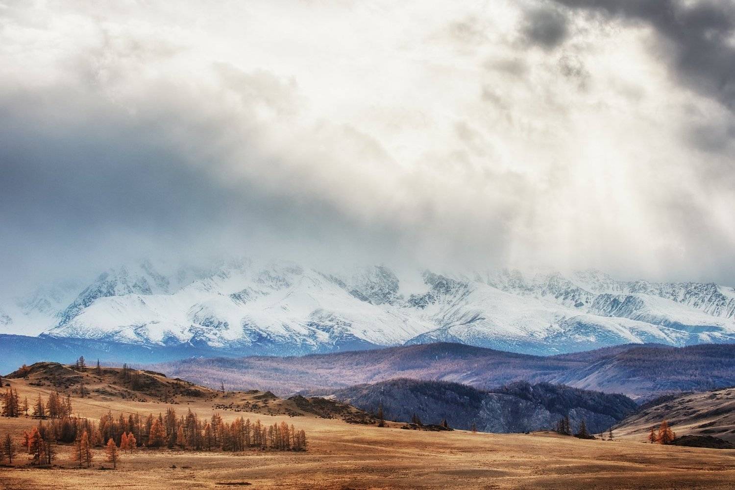 алтай, курай, Владимир Лякишев