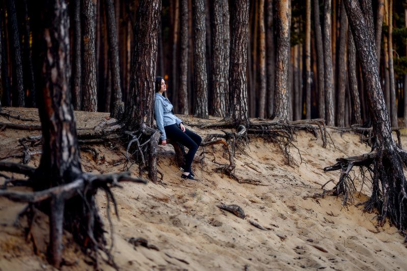 Викаphoto preview