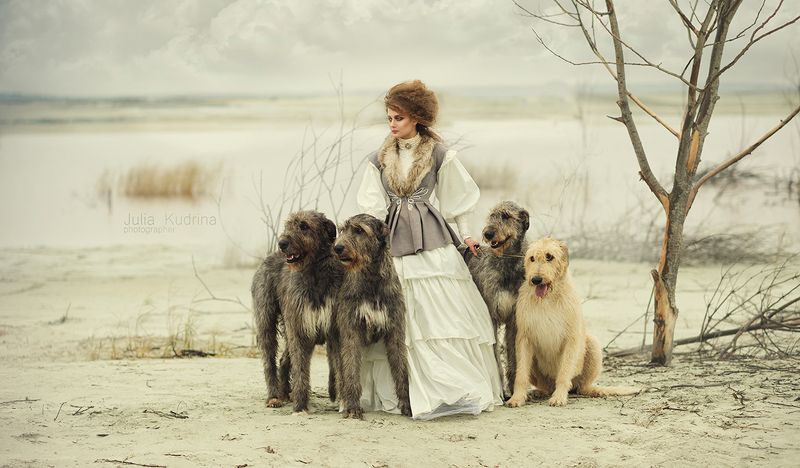 волкодав ***photo preview