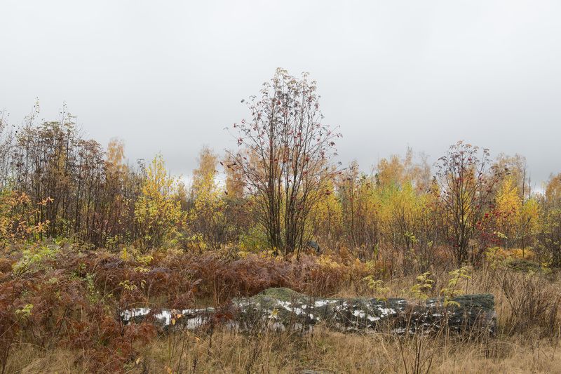 углич photo preview