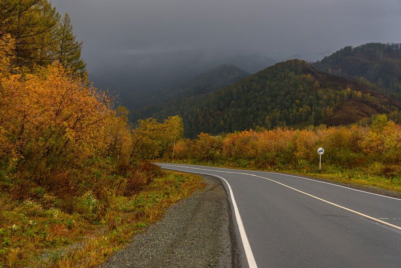 дорога, горы, дождь, осень, алтай, road, mountains, rain, autumn, altai Иду на грозу...photo preview