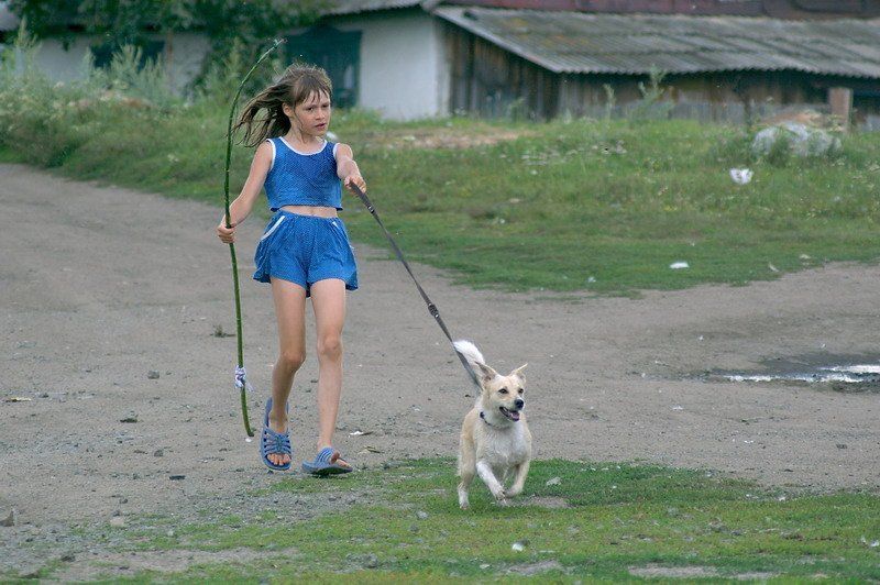 девочка, собачка photo preview