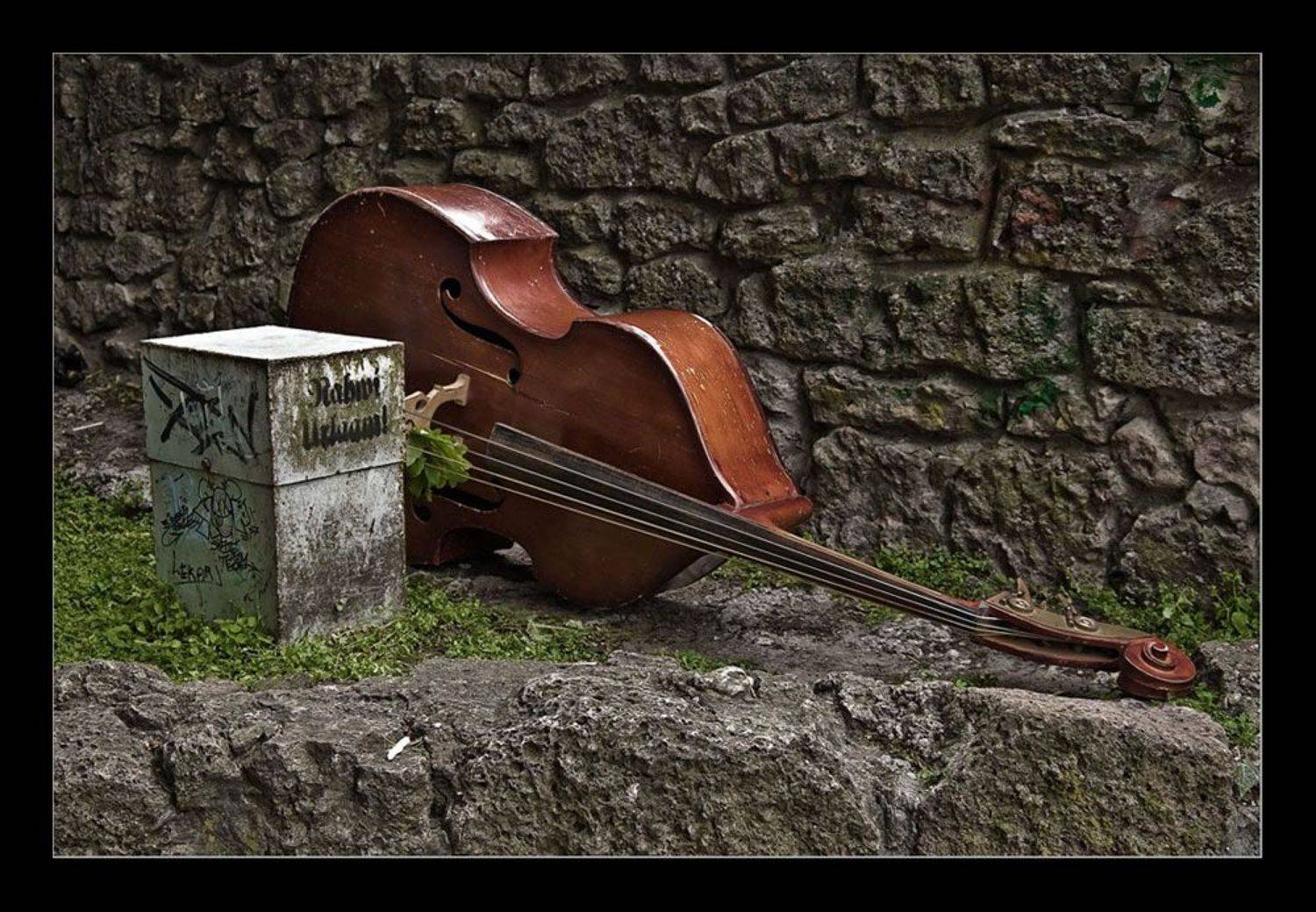 рига музыка, Игорь