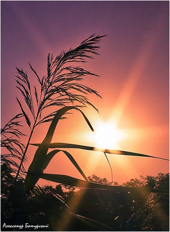 Вездесущие лучи фото превью