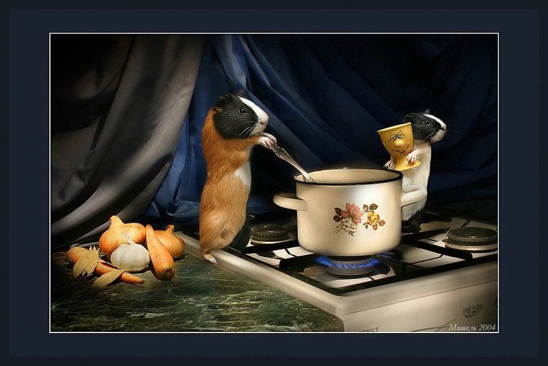 КАШЕВАРЫ фото превью