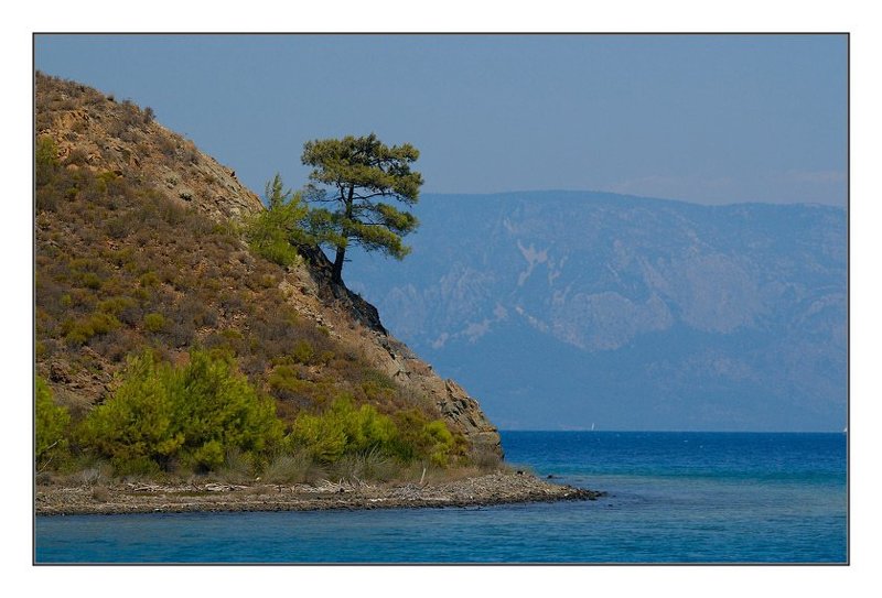 turkey ***photo preview