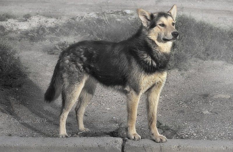 в ожидании В ожиданииphoto preview