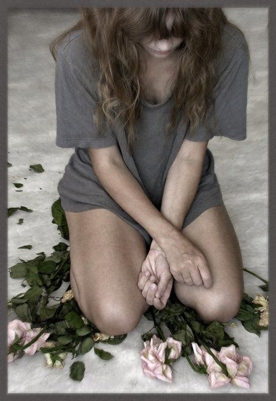 розы ***photo preview