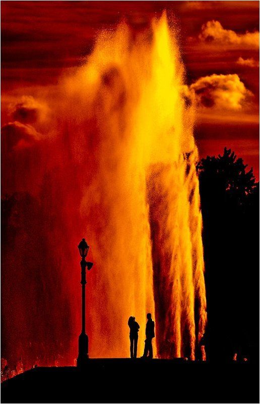 Всегда есть выбор ...photo preview