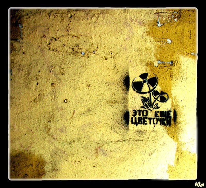 питер, стена цветочкиphoto preview