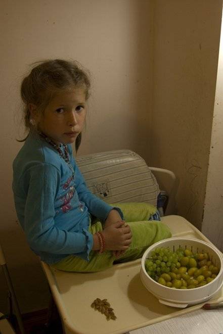 ...а из косточек вырастет новое дерево. Автор: Vincent косточка, дерево, девочка, Vincent