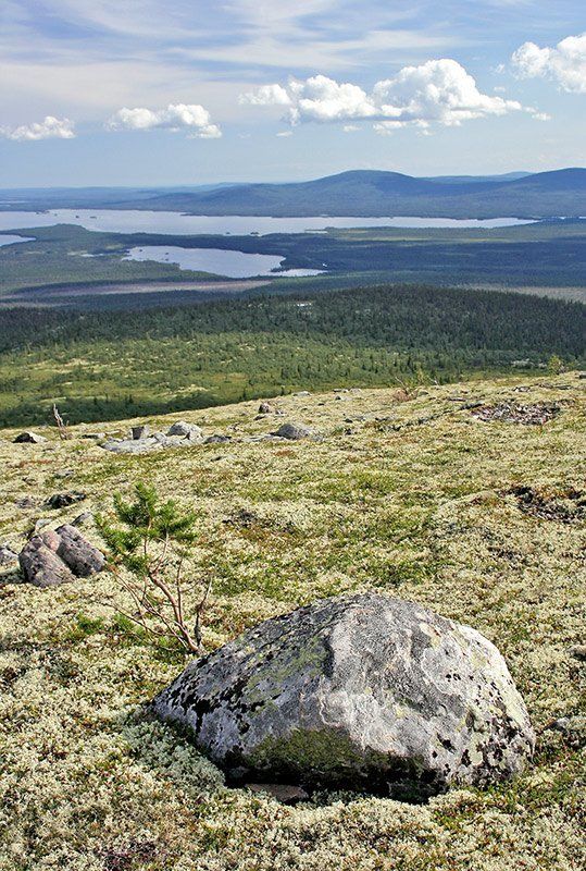 кольский, колвицкое, озеро, гора, рисовская, иолга На Рисовской Иолге.photo preview