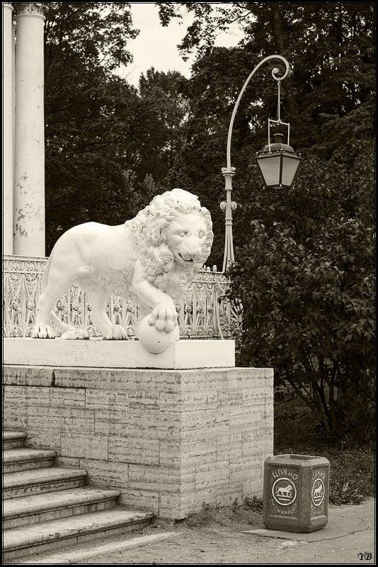 цпкио ЦПКиОphoto preview