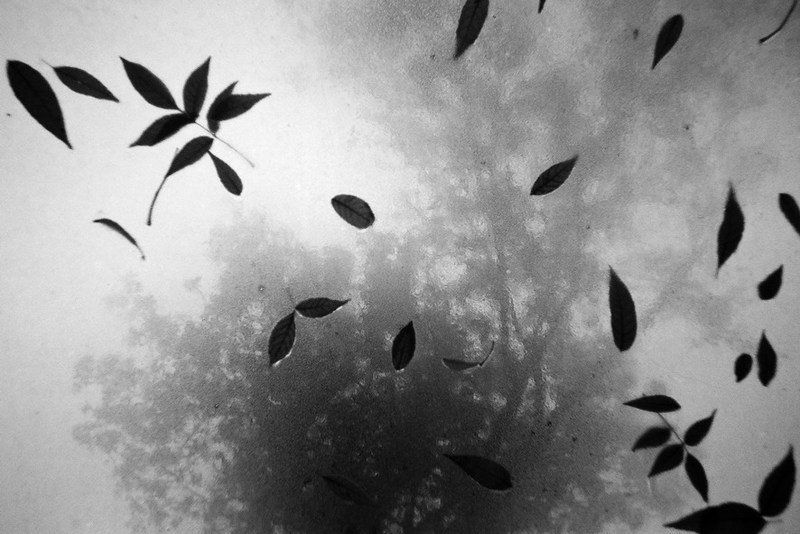 осеньphoto preview