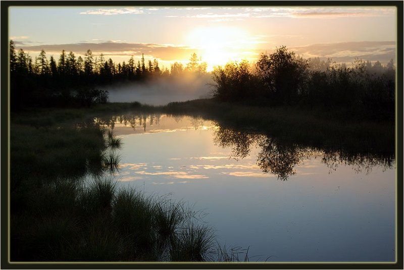 утро,туман,река,тайга,яутия Утроphoto preview