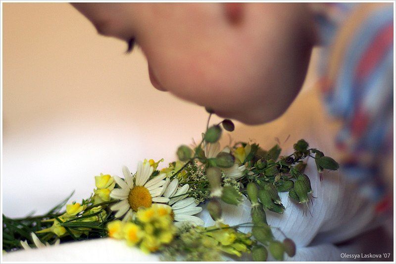 ромашки, дети, букет, цветы жизни цветы и цветочки =)photo preview