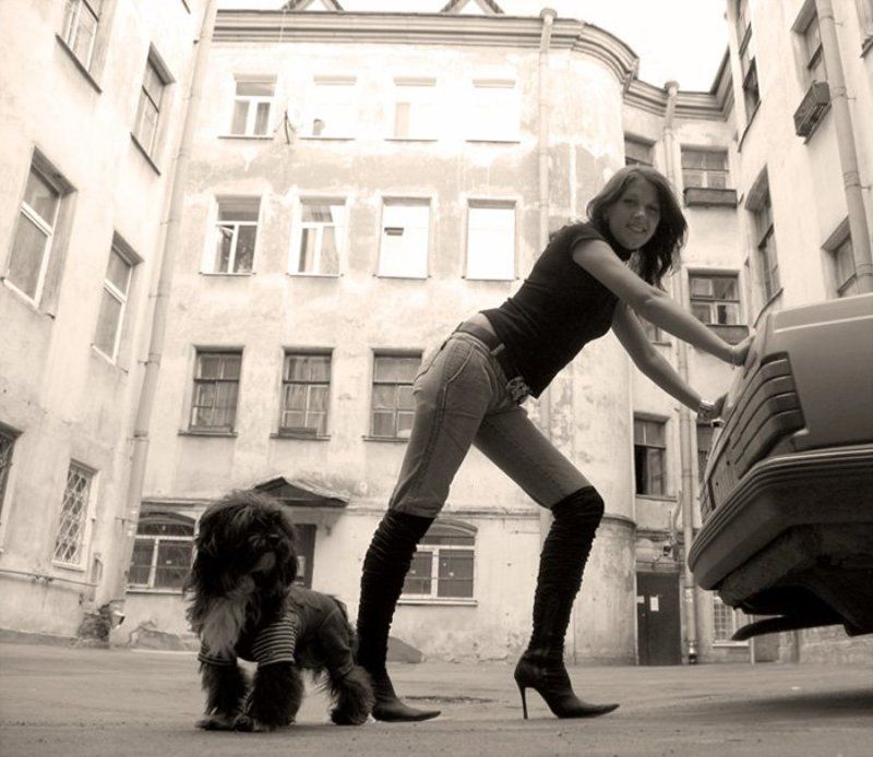 собачка, девушка Девушка....Вам помоЧЬ нужна?photo preview