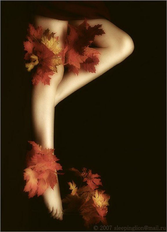 гламур, glamour, осень, листья Индейское лето... фото превью