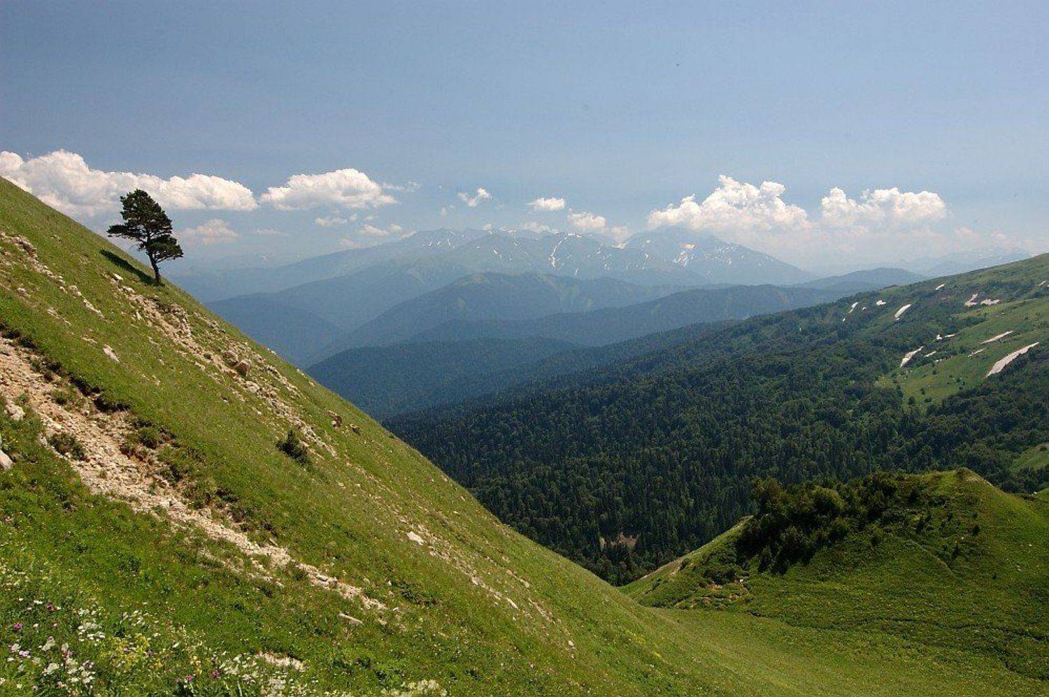 горы, дерево, гкх, адыгея, Kaiser Sozo