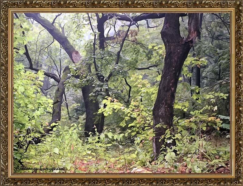 Дубовая чаща после грозыphoto preview