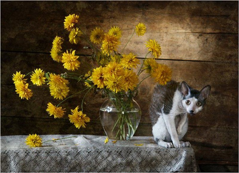 Ой, кто это!? фото превью