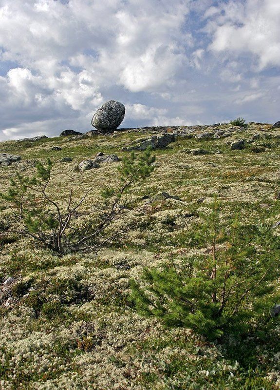 кольский, сейд, гора,рисовская, иолга Сейд.photo preview