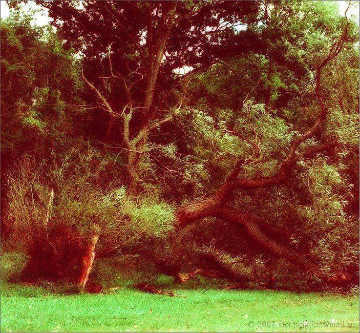 Это был ветер.... Автор: Pilgrim пейзаж, пленка, средний формат, pilgrim, Pilgrim