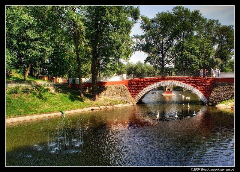 гомель, беларусь, лебеди, лебеный пруд Немного сказкиphoto preview