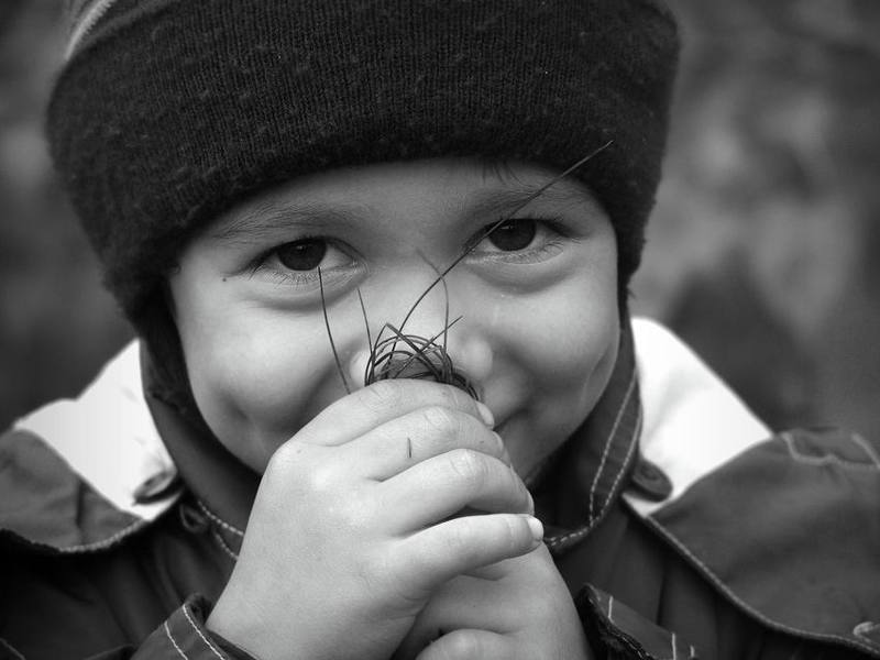 портрет, сын, папина гордость Ямочкиphoto preview