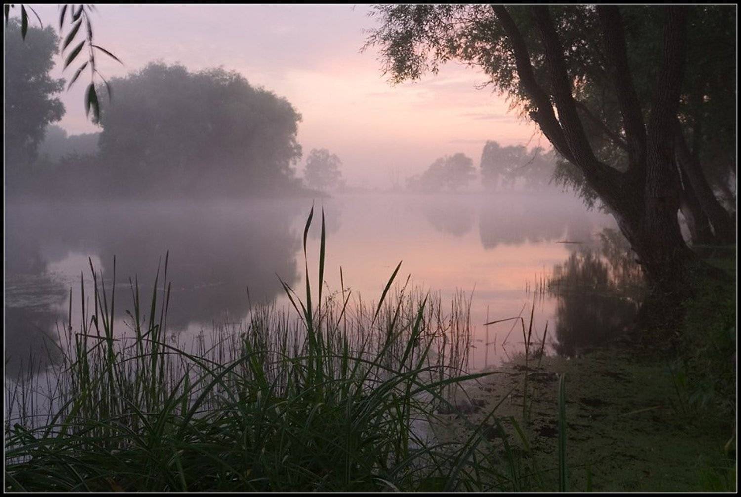 О туманной перспективе рыбной ловли. Автор: Степанов Сергей озеро, искинское, башкирия, Степанов Сергей