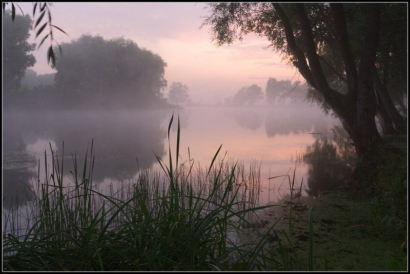 озеро, искинское, башкирия О туманной перспективе рыбной ловлиphoto preview