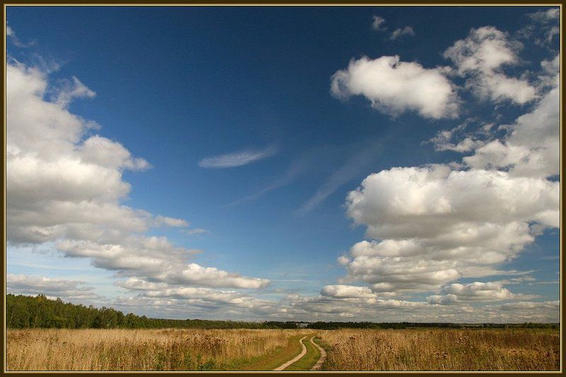 Сельская дорожкаphoto preview