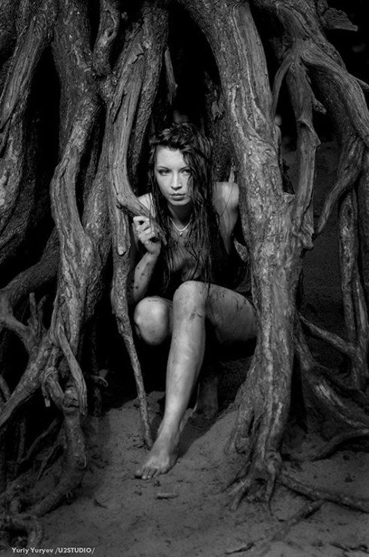 животные, инстинкты, u2studio, юрьев, lida Животные инстинктыphoto preview