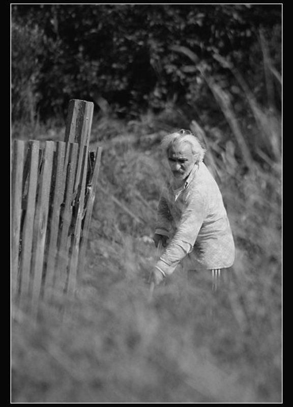 косарь, забор, трава Коси коса, пока роса... фото превью