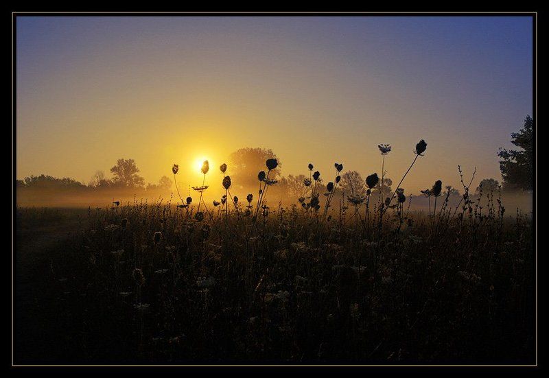 утро, рассвет, солнце, свет photo preview