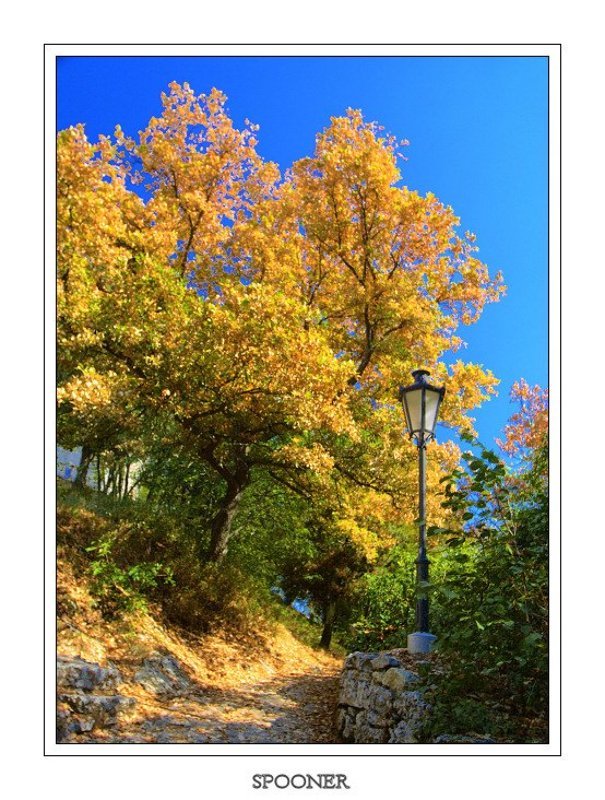 Прогулкаphoto preview