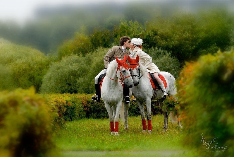 свадьба,лошади,осень,зеленоград Погода свадьбе не помеха....photo preview