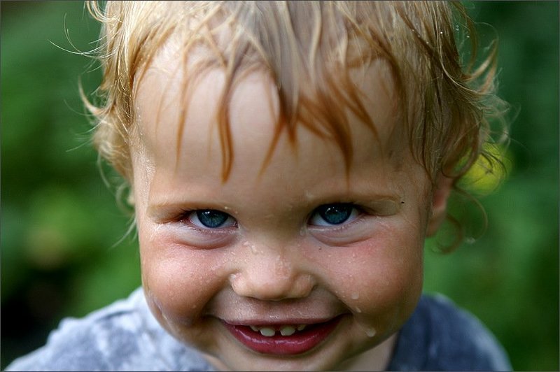 дети вечная тема Хитрюга...photo preview