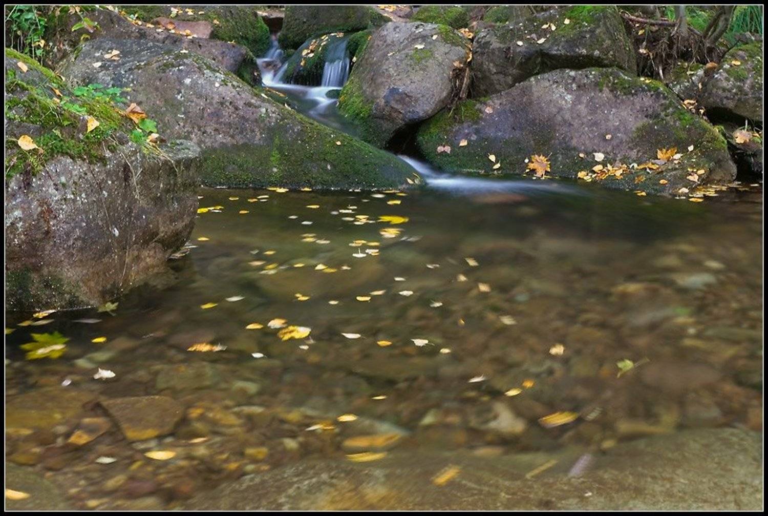 И кружит осень листья. Автор: Степанов Сергей ашинский распадок, аджигардак, снеговой, Степанов Сергей