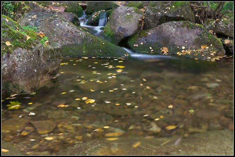 ашинский распадок, аджигардак, снеговой И кружит осень листьяphoto preview