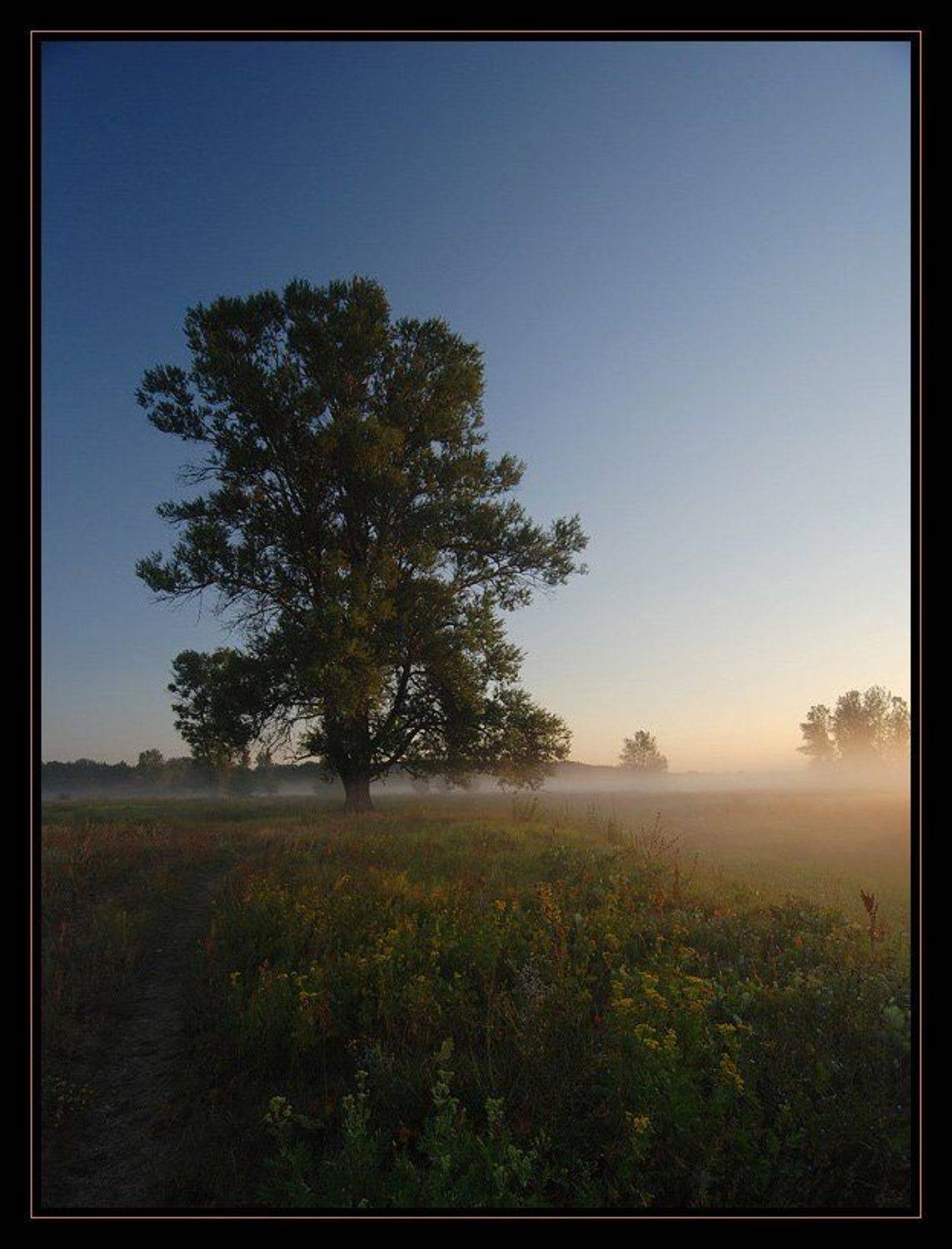 маяк, дерево, утро, солнце, рассвет,, Александр Бельтюков