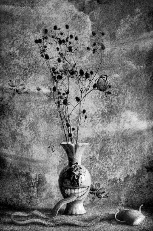 felix laband Остановка по требованиюphoto preview